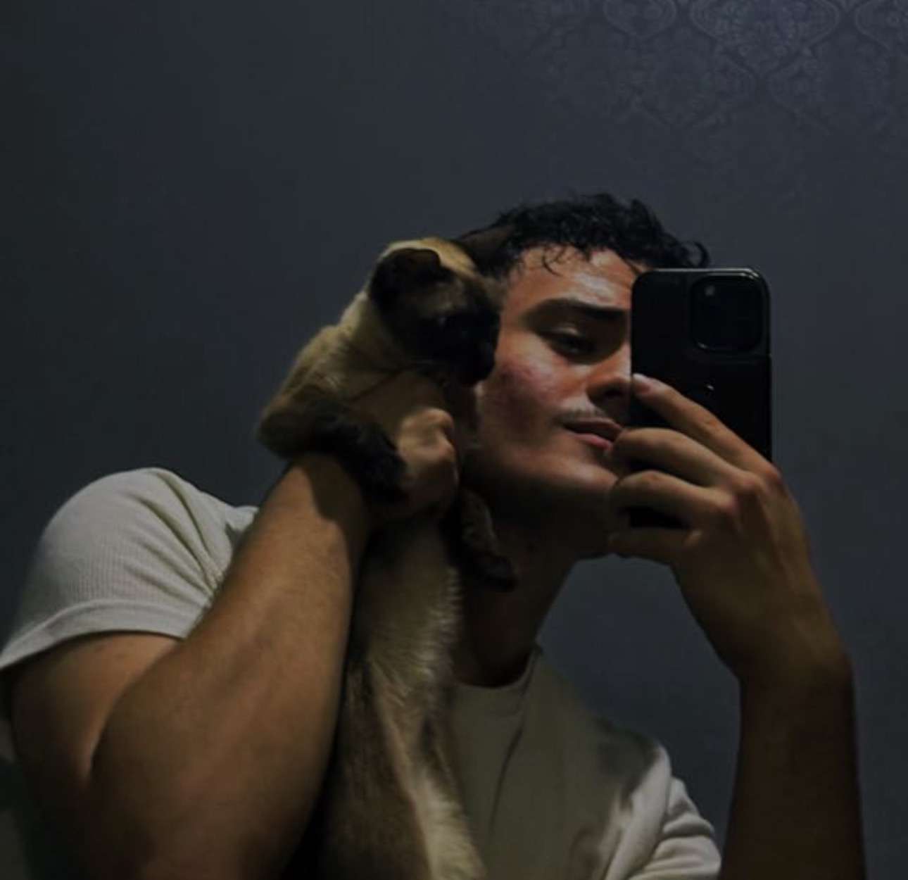 Miraç Sarp Çalışır Profile Picture