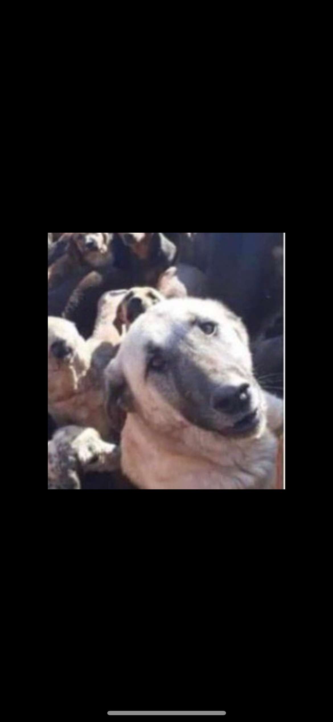 DARGINIM Profile Picture