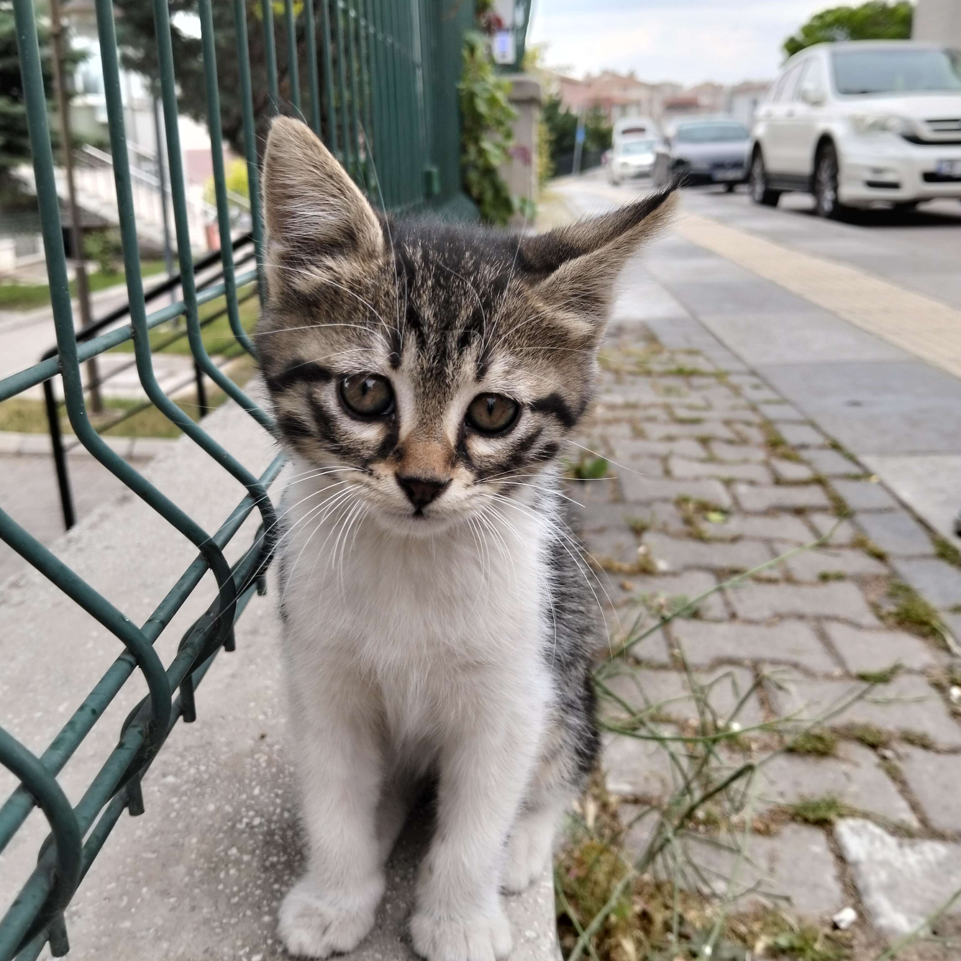 Sude Aydoğdu Profile Picture