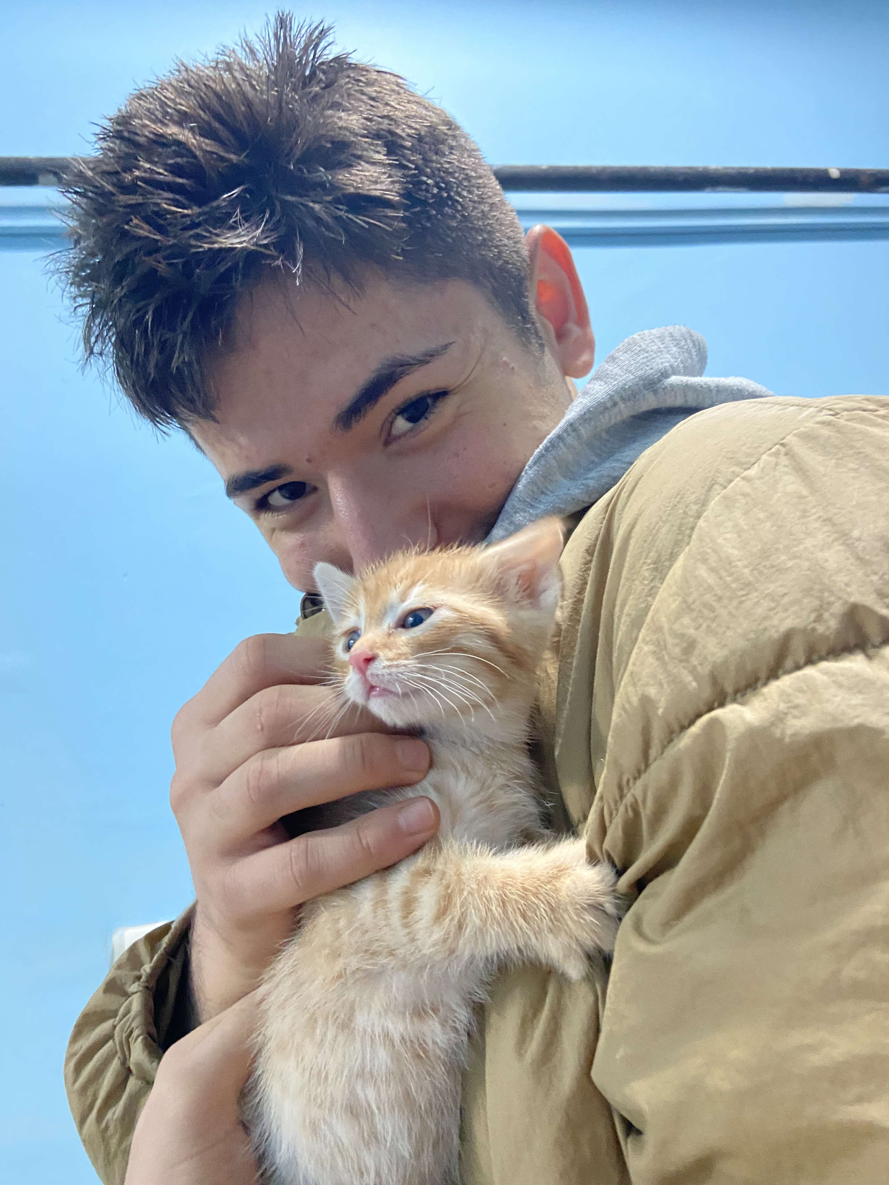 Mahmut Şimşek Profile Picture
