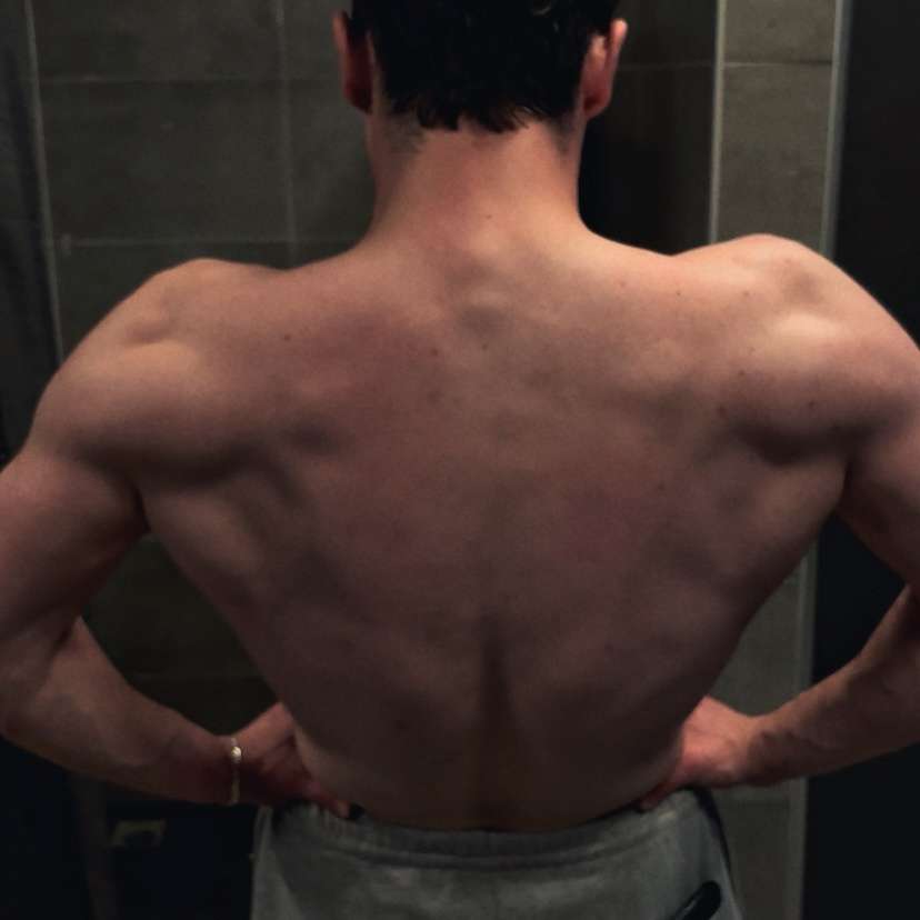 Sahin Sari Profile Picture