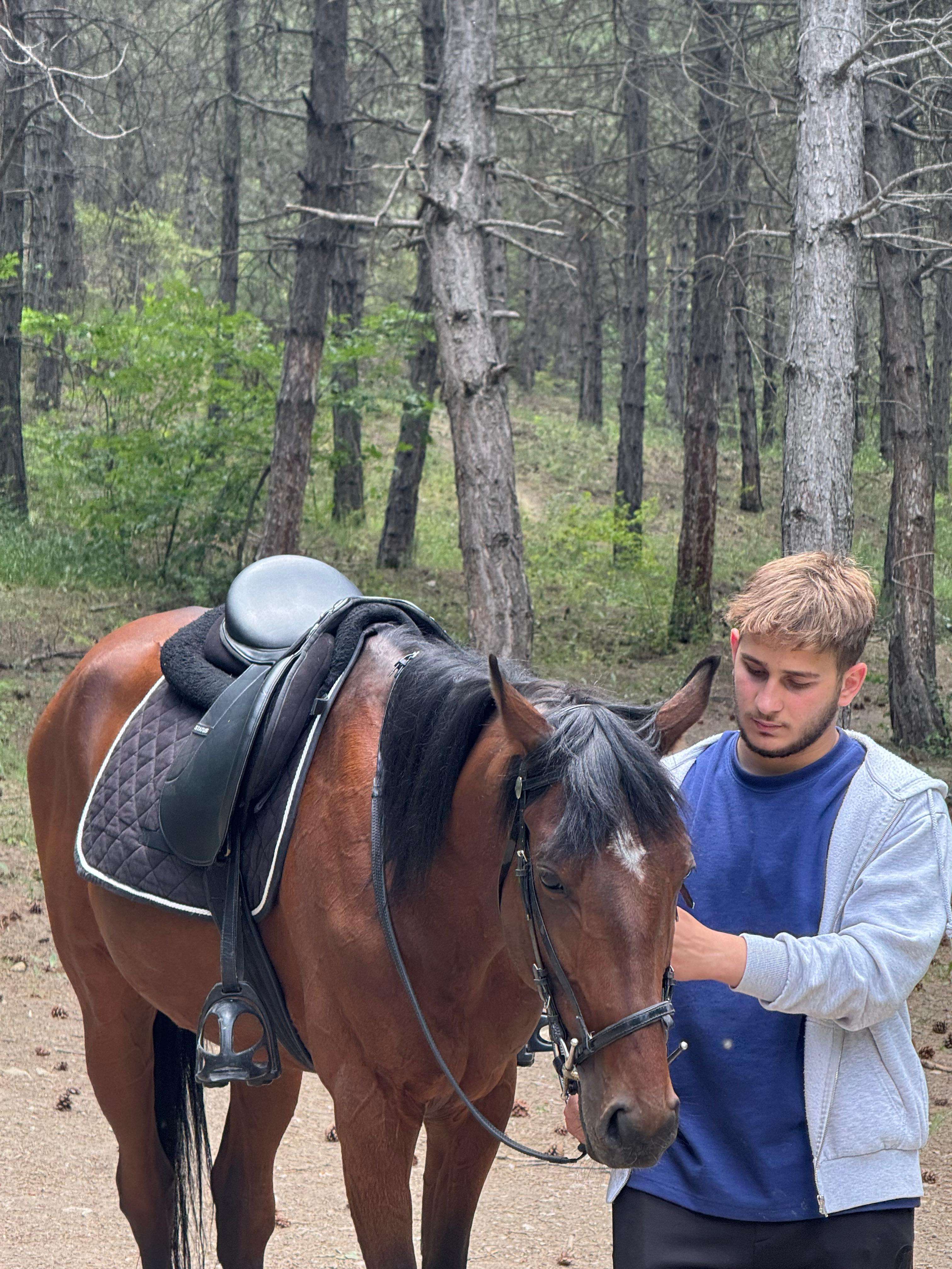 Mert İpoğlu Profile Picture