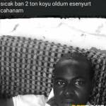 Ahmet Denız profile picture