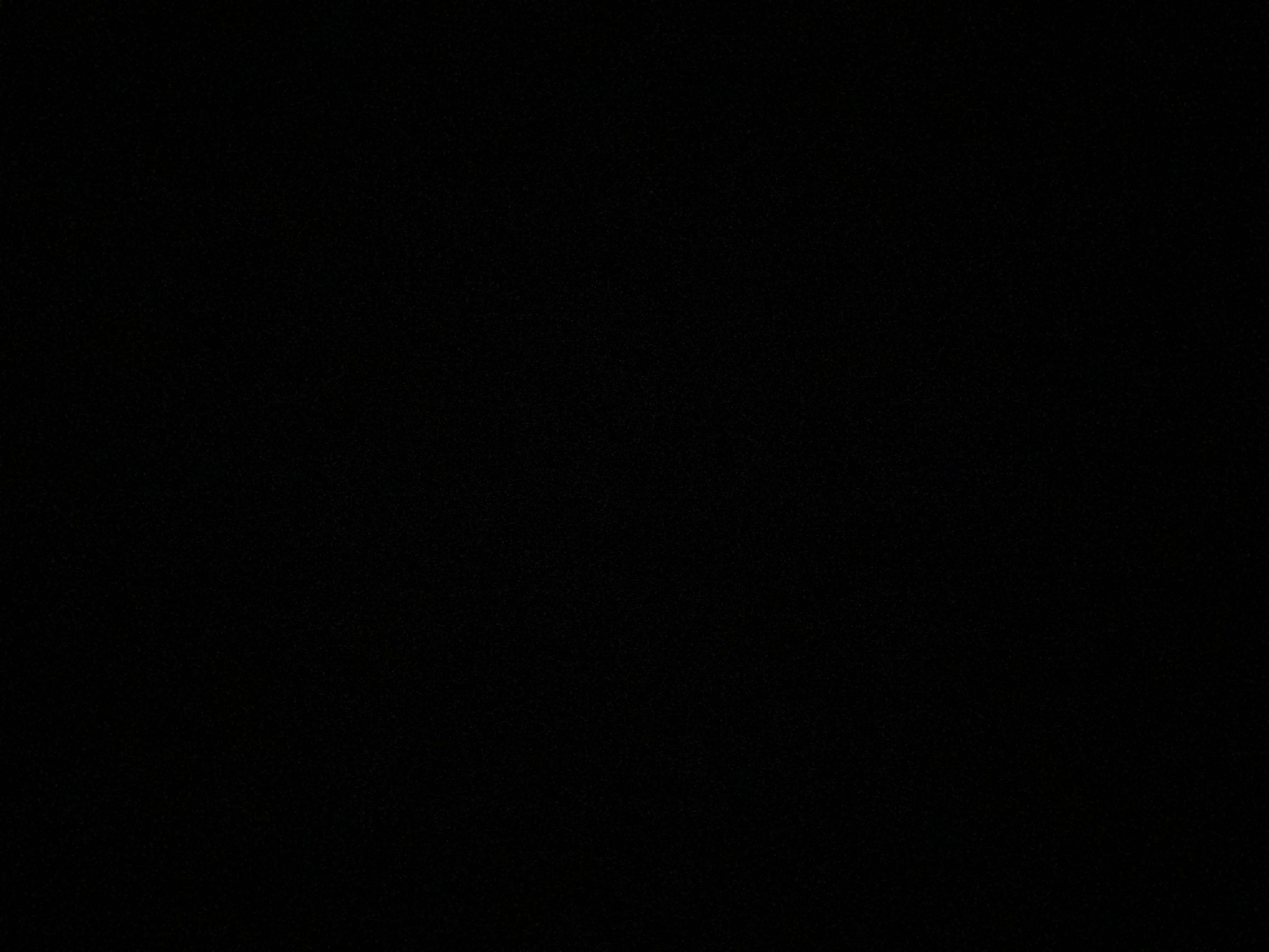 Eylül Demirbuken Profile Picture