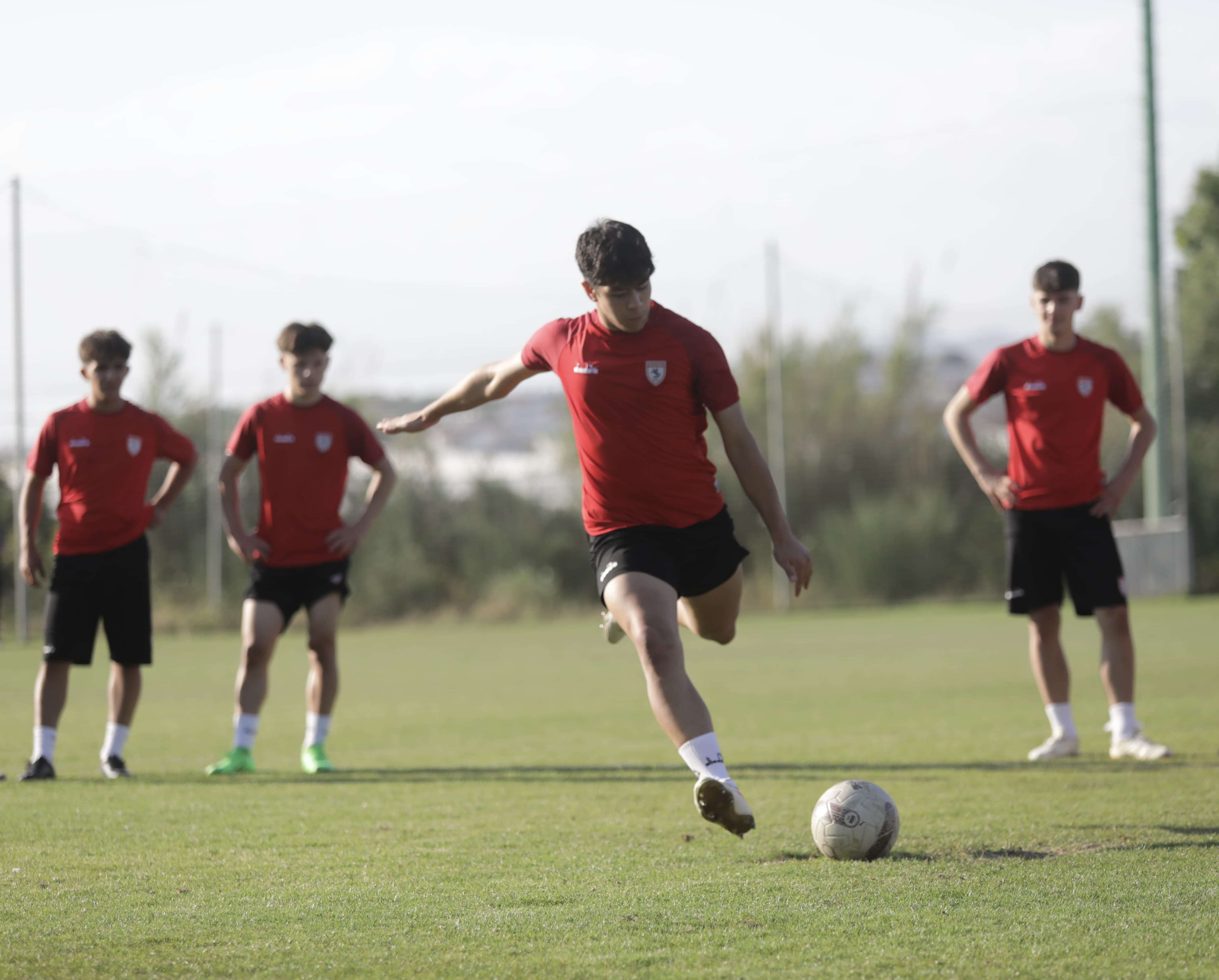 Osman Doğan Profile Picture