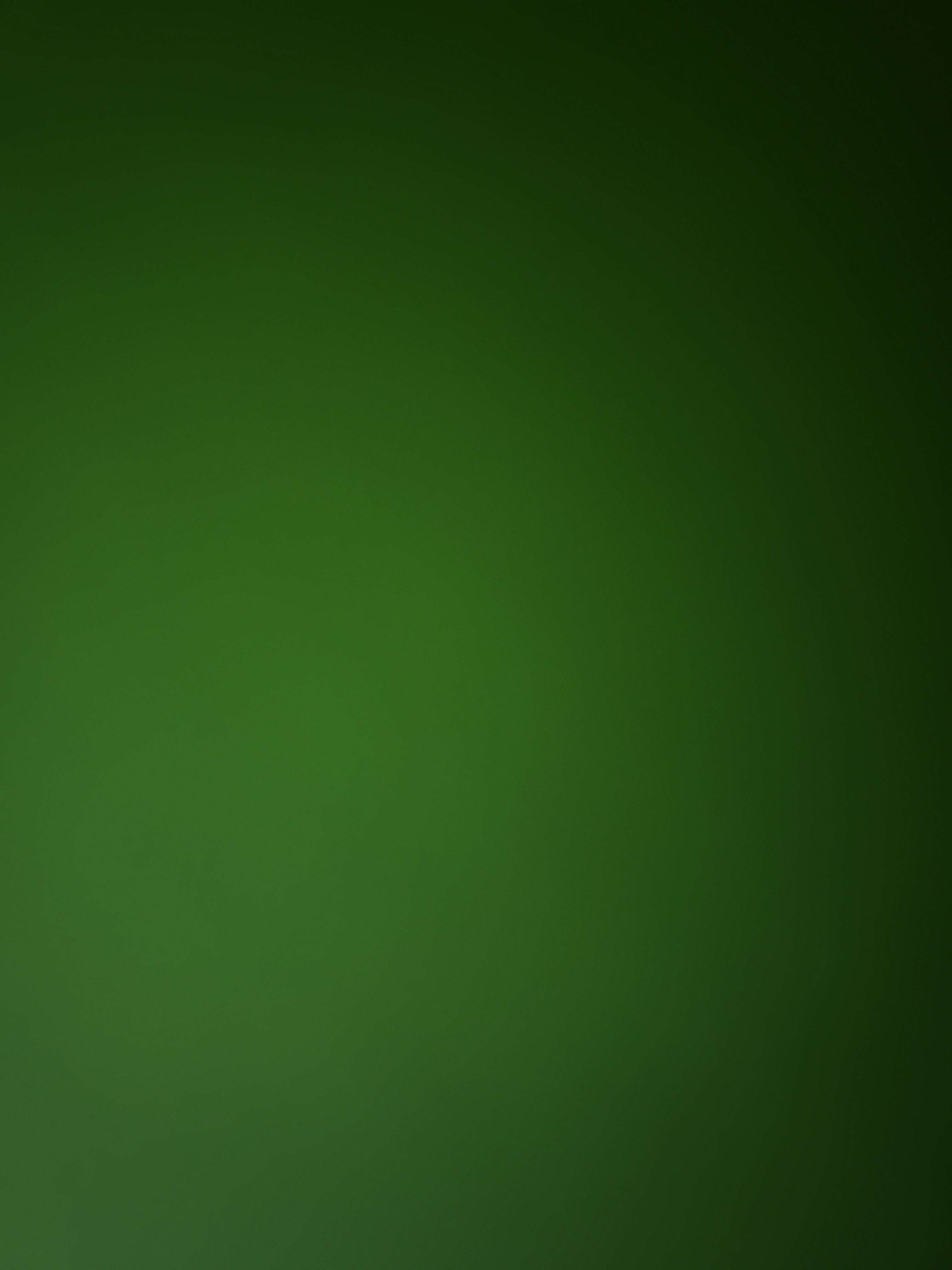 Emir Efe Profile Picture