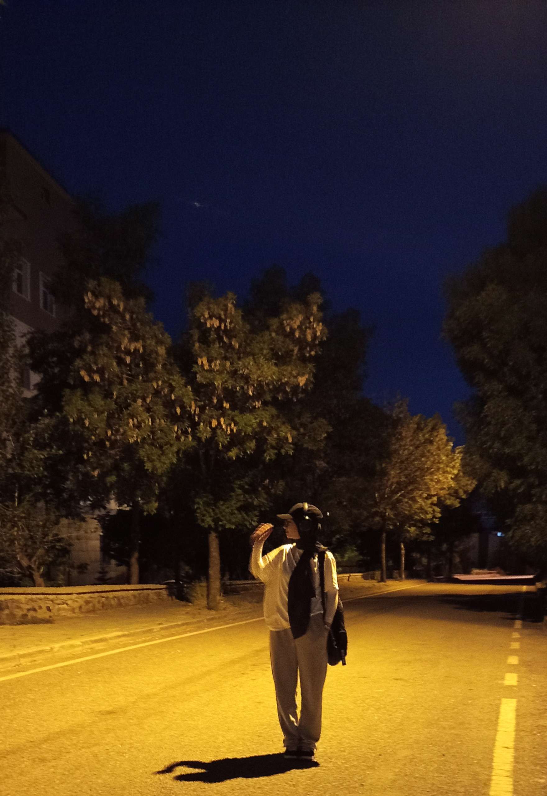 Zülal Nişli Profile Picture